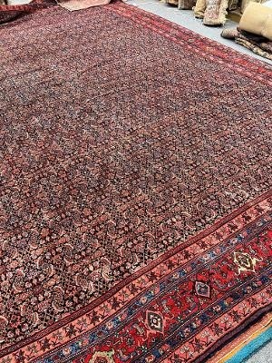antique bidjar carpet