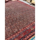 antique bidjar carpet