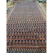 ANTIQUE AFSHAR CARPET