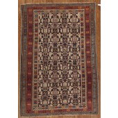 antique shirvan  rug