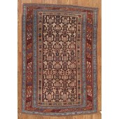 antique shirvan  rug