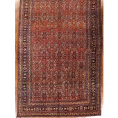 BIDJAR GALLERY CARPET