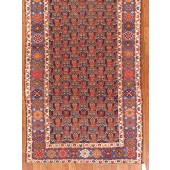 antique kudish gallery carpet